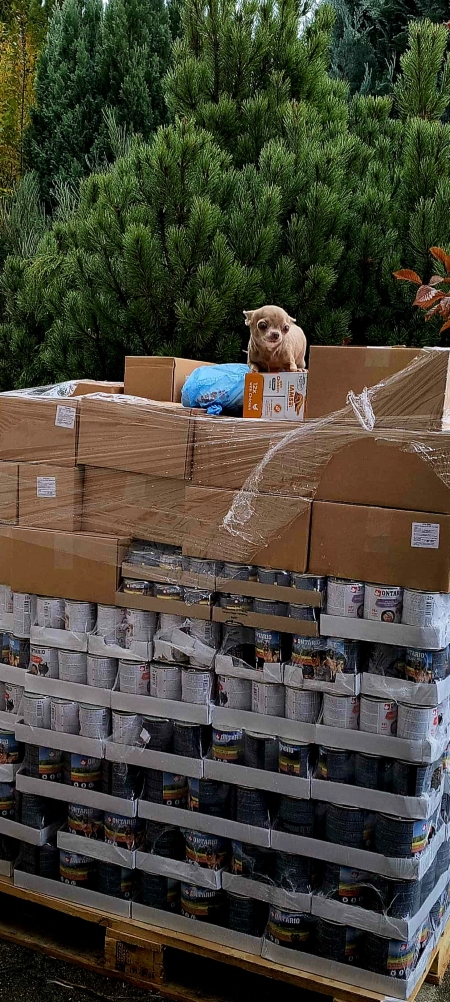 Dejte nám šanci z.s.